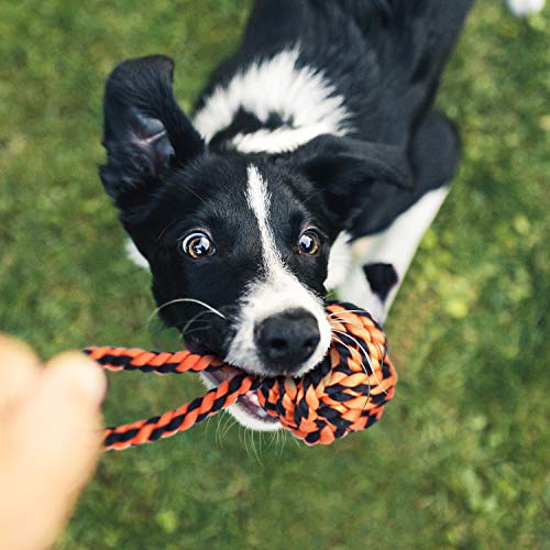 Large Tough Chew Toys for Aggressive Chewers (9 Packs / Large)