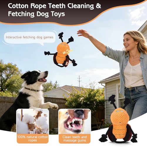 Cockroach Squeaky Dog Toy (Modern)