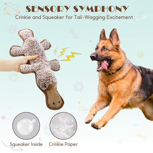 No Stuffing Dog Squeak Toys (Coffee)