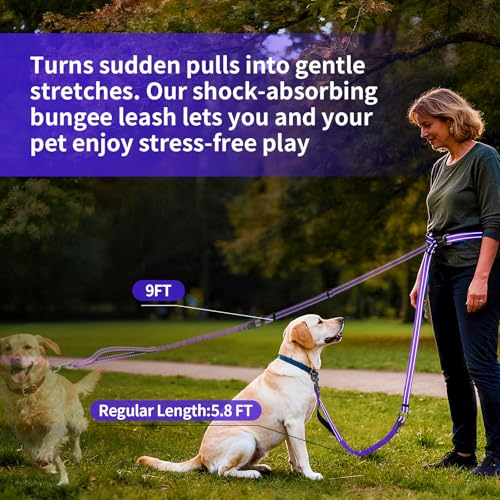 Hands Free Dog Leash by Kazazoo (PRUPLE Bungee / M)