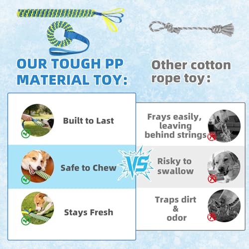 Snuffle Ball for Dogs