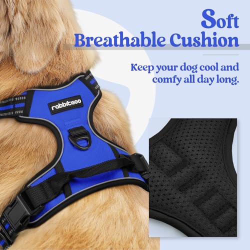 Dog Harness No Pull for Large Dogs with 2 Leash Clips (X-Large / Dazzling Blue)