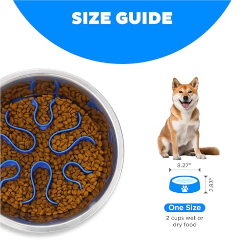 Fun Feeder Stainless Steel Slo Bowl for Dogs (Stainless Steel / Medium)