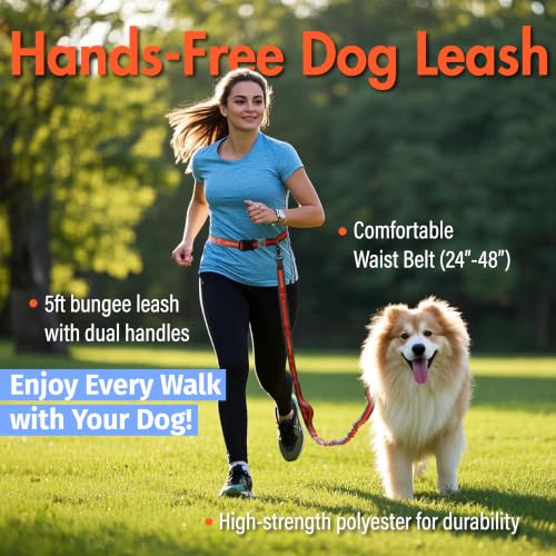 Hands Free Dog Leash (Orange)