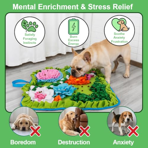 Snuffle Mat for Dogs (Lime)