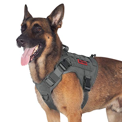 Tactical Dog Harness No (Medium / Grey)