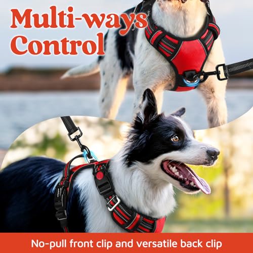 Dog Harness for Large (Red / Large)
