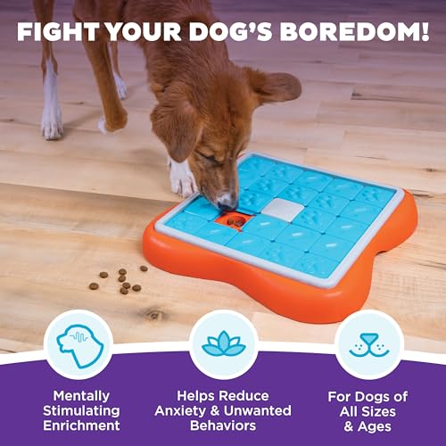 Nina Ottosson Challenge Slider Dog Toy Treat Puzzle (Challenge Slider (Orange, Blue) / 1 Count (Pack of 1))