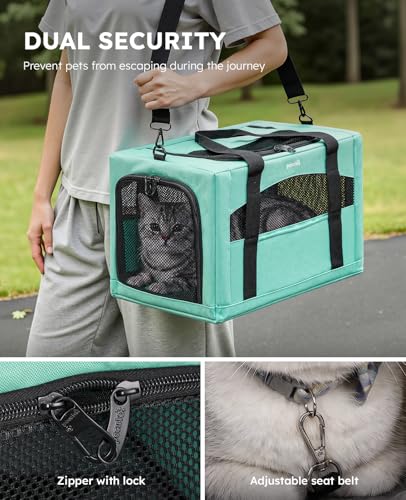 Cat Carrier Stable (Light Green / 16.9"L x 11.0"W x 11.0"H)