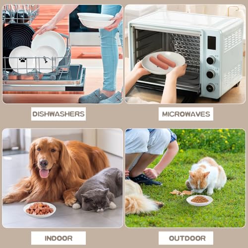 6 Pack Cat Food Bowl (White-A)