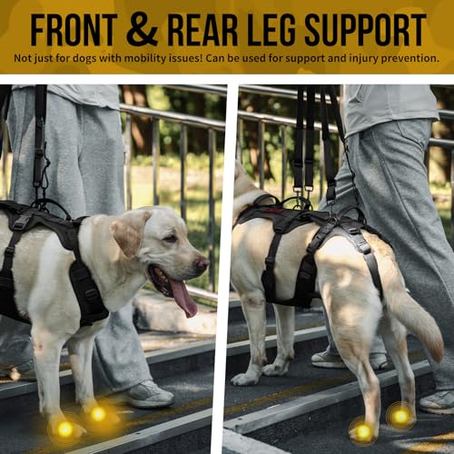 Multi Function Dog Lift Harness (Black / Medium)