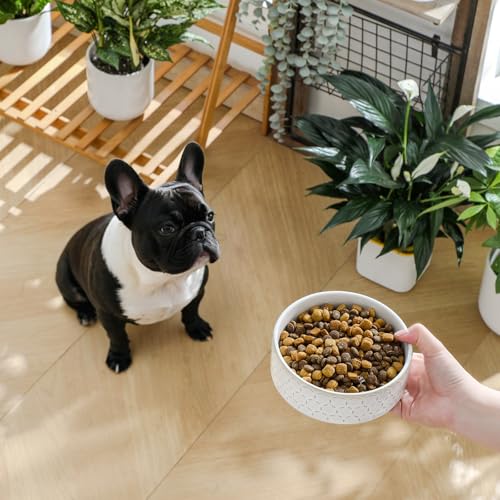 Ceramic Dog Food Bowl (Honeycomb / 2 Cups)