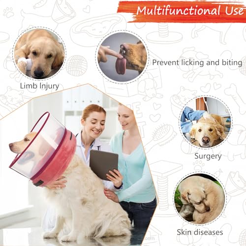 Inflatable Dog Cone Collar for Large Medium Small Dogs (Mangosteen / Large)