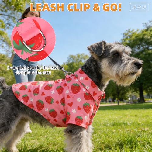 Spring Dog Shirt with Leash D (Medium / Pink Strawberry)