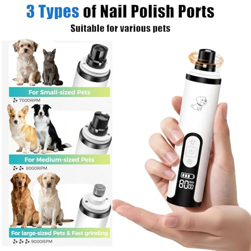 Silent Pets Nail Grinder with 2 Lights and 3 Speeds