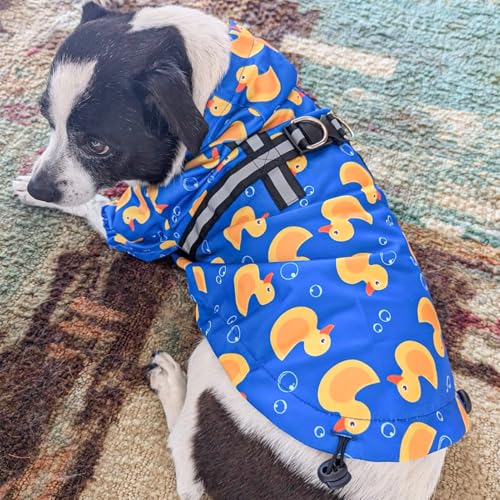 Dog Raincoats for Small Dogs (Duck Blue / S(Back 13.2", Chest 18.5", Neck 13.9"))