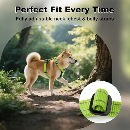 No Pull Dog Harness with Leather Accents (M / Green)