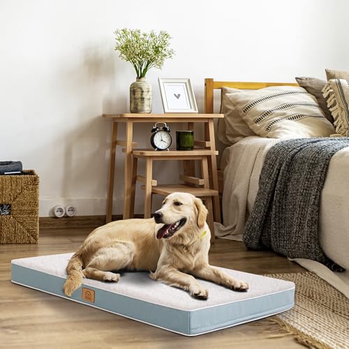 Washable Orthopedic Large Dog Bed (Blue / 36.0"L x 27.0"W x 3.0"Th)