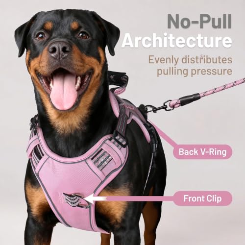Dog Harness and Leash Set for Medium Dogs (Pink / M)