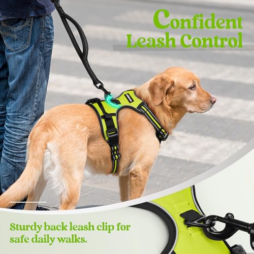 Dog Harness No Pull Medium Sized with 2 Leash Clips (Medium / Wild Lime)
