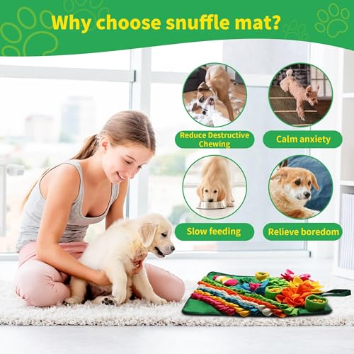 Snuffle Mat for Dogs