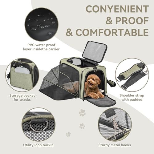 Medium Double Expandable Cat Carrier for Cats and Small Dogs (17.0"L x 11.0"W x 11.0"H / Green)