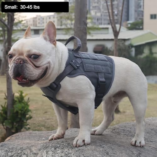 Tactical Dog Harness for Small Dogs (Small (Pack of 1) / Grey)