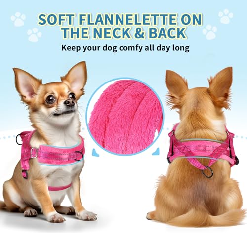 No Pull Small Dog Harness and Leash Set with Front Clip (XX-Small / Fuchsia)