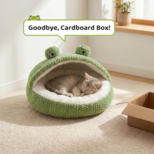 Cute Cat Beds Kitten Beds (Medium / White＆Green)