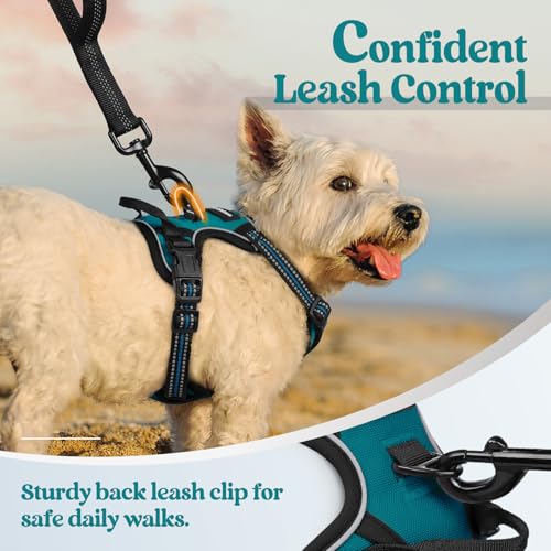 Dog Harness No Pull for Small Dogs with 2 Leash Clips (X-Small / Blue Coral)