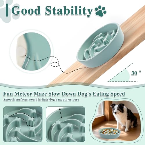 Ceramic Slow Feeder Dog Bowls (Light Green-L)