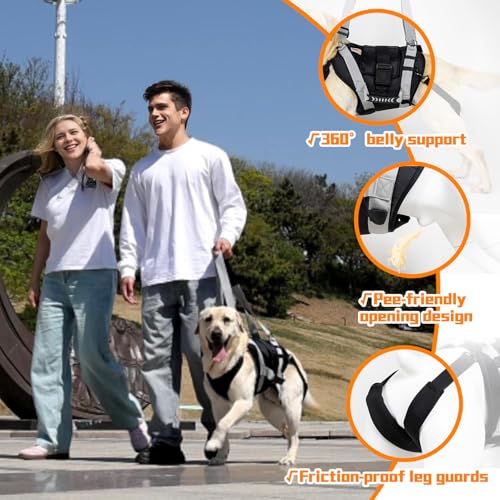 Dog Lift Harness for Large Dogs (Black / Large)
