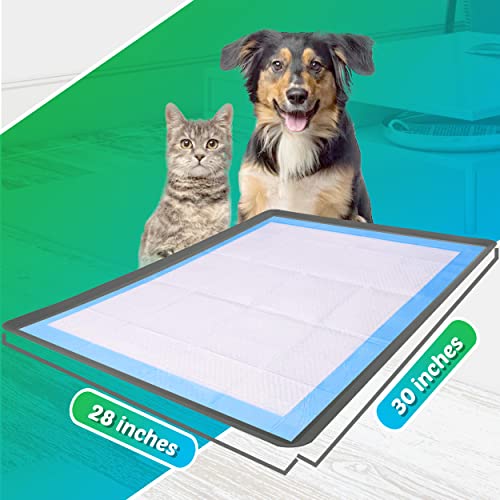 Dog Pee Pad Holder (Gray / 28 X 30 Inches)
