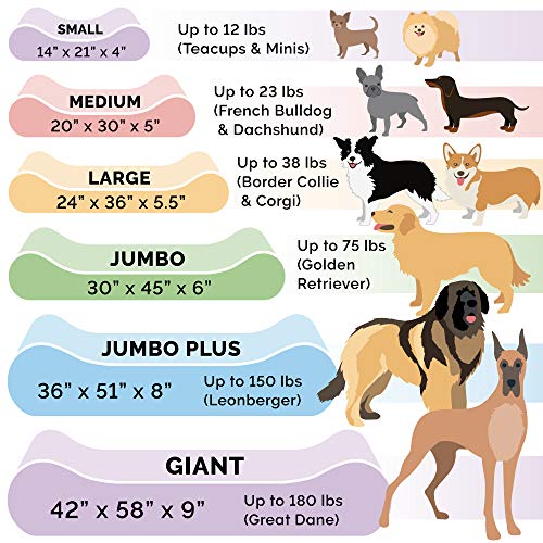 Orthopedic Dog Bed for Extra Large Dogs w (Giant/XXXL / Chocolate)
