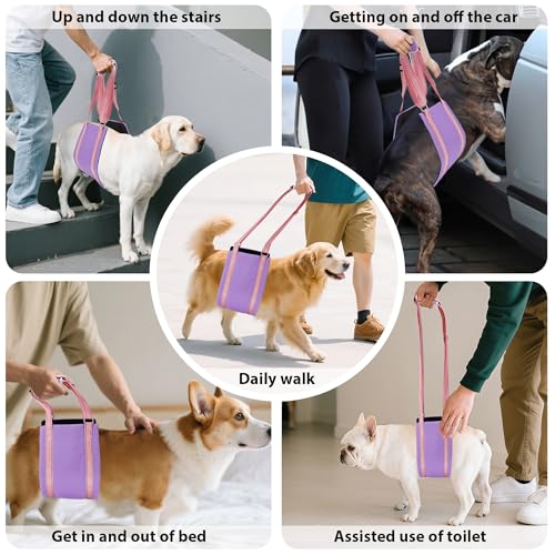 Summer Dog Lift Harness for Hind Leg Support (Purple / S)