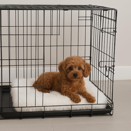 Faux Fur Orthopedic Rectangular Dog Bed (White / Medium)