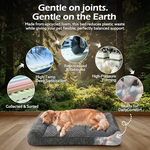 XL Orthopedic Dog Bed for Large Dogs (XL Plus(45"L x 32"W x 9.5"Th) / Grey)