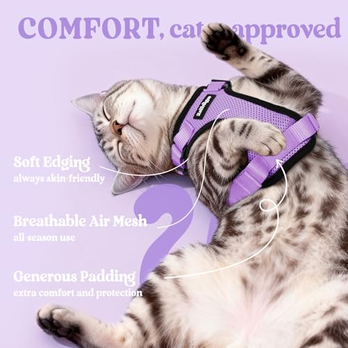 Cat Harness and Leash Set (M / Light Purple)
