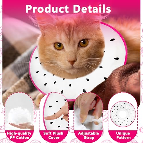 Cat Cone Collar Soft (Dragonfruit / Large)