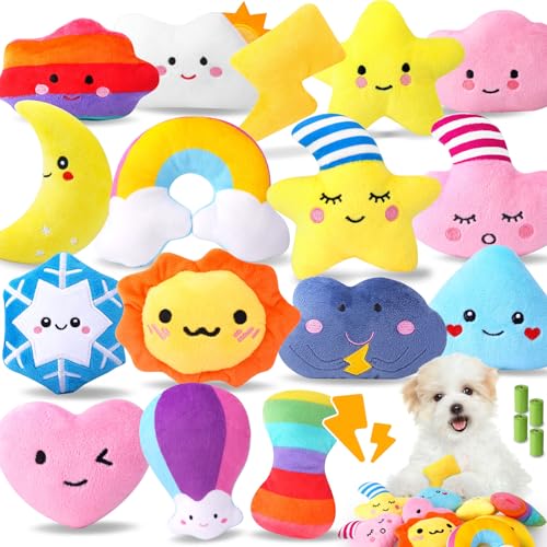 Weather Themed 20 (Weather-Themed Squeaky Toys)
