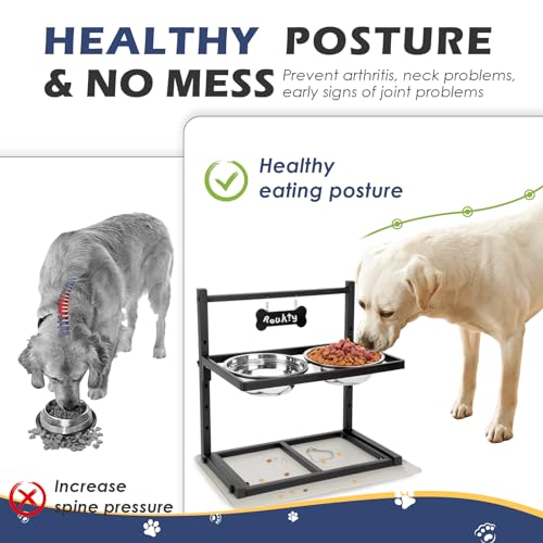 Elevated Dog Bowls with Slow Feeder (Black - XL Grey Silicone Mat / Height-16.5inch)