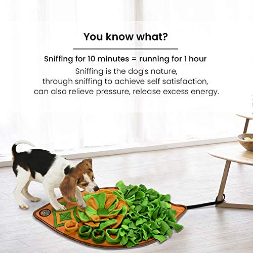 Snuffle Mat for Dogs (B)