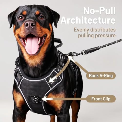 Dog Harness and Leash Set for Medium Dogs (Black / M)