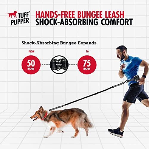 Hands Free Bungee Dog Leash