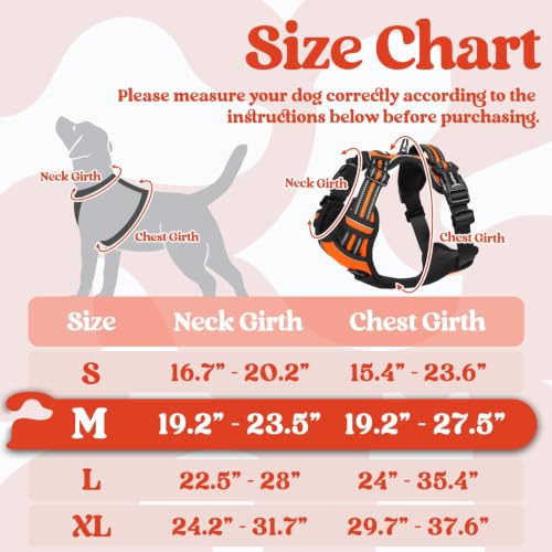 Dog Harness Medium Sized (Medium / Orange)