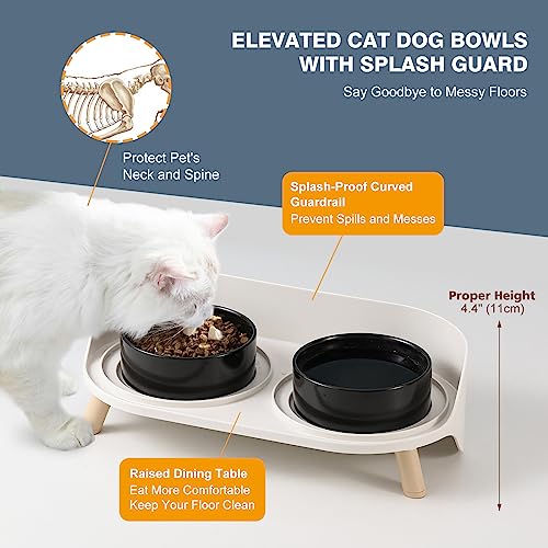 Raised Cat Food and Water Bowl Set (Black / Small)