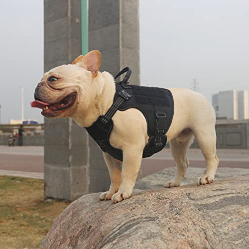 Tactical Dog Harness for Small Dogs (Small (Pack of 1) / Black)
