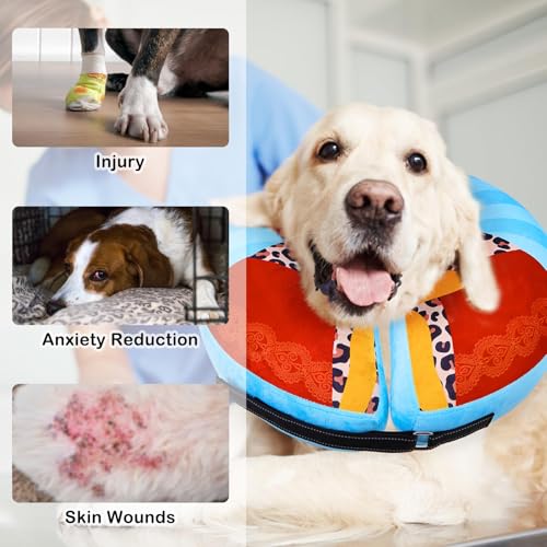 Dog Cone Alternative After Surgery Donut Collar (Sky Blue King / M(Neck 13"-16"))