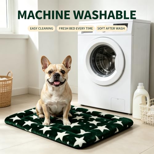 Dog Bed Mat Soft & Comfortable Dog Kennel Pad for Crate (S(24"*18"*1.5") / Big&Little Stars Green-1pc)