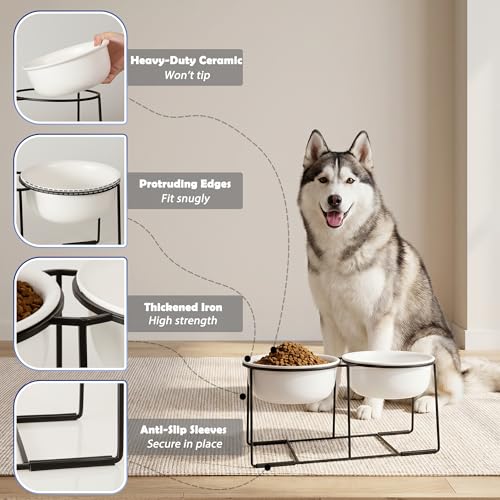 Ceramic Elevated Dog Bowl Set (Matte White / XL × 2)